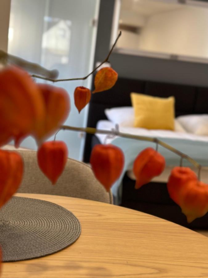 Studio Apartman Koszeg Ngoại thất bức ảnh